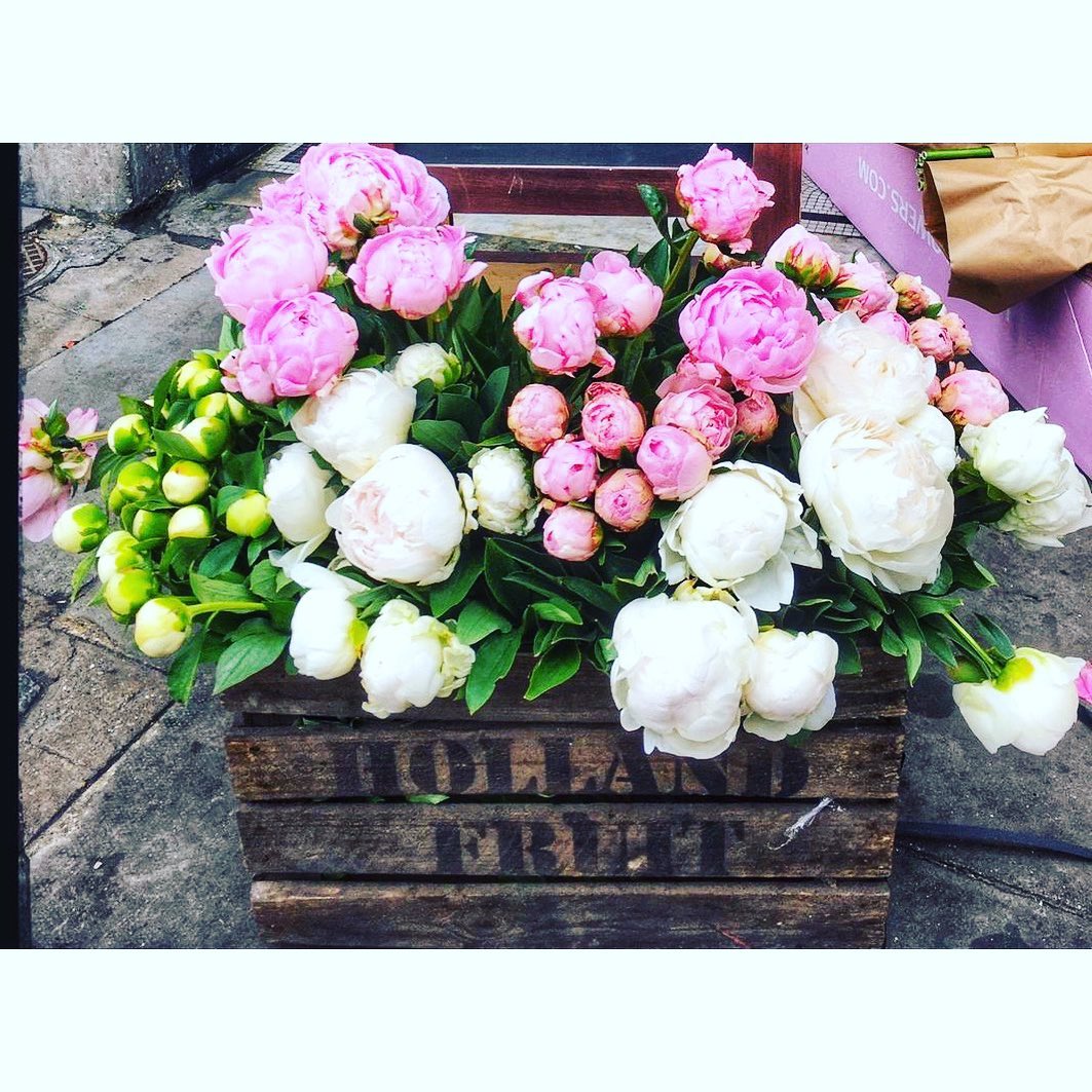 peonies available at clapham flowers for same day delivery